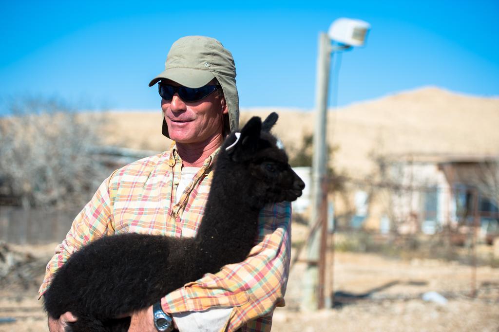 Alpaca Farm - חוות האלפקות Villa Mitzpe Ramon Luaran gambar