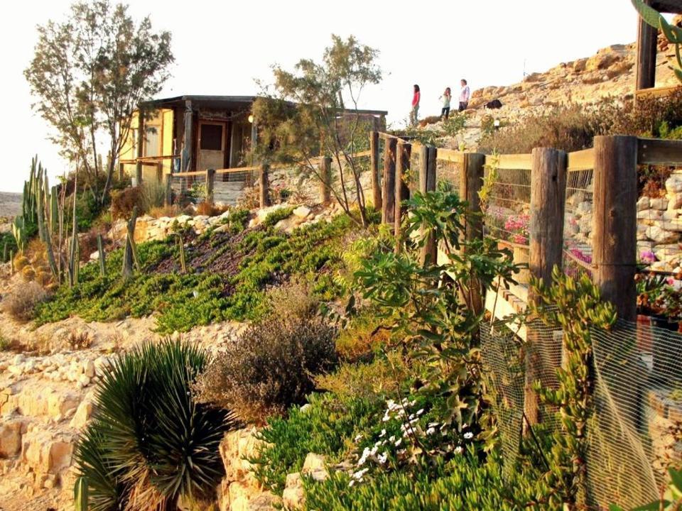 Alpaca Farm - חוות האלפקות Villa Mitzpe Ramon Luaran gambar