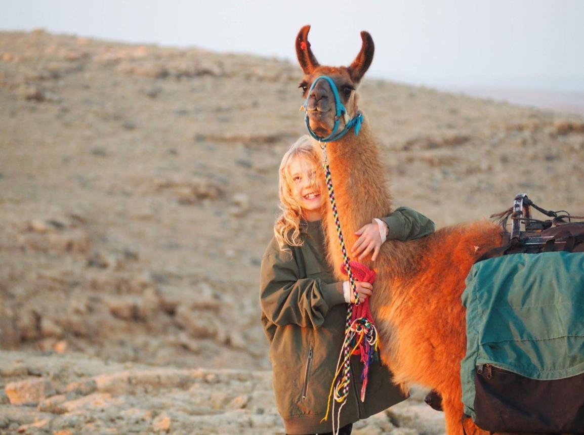 Alpaca Farm - חוות האלפקות Villa Mitzpe Ramon Luaran gambar