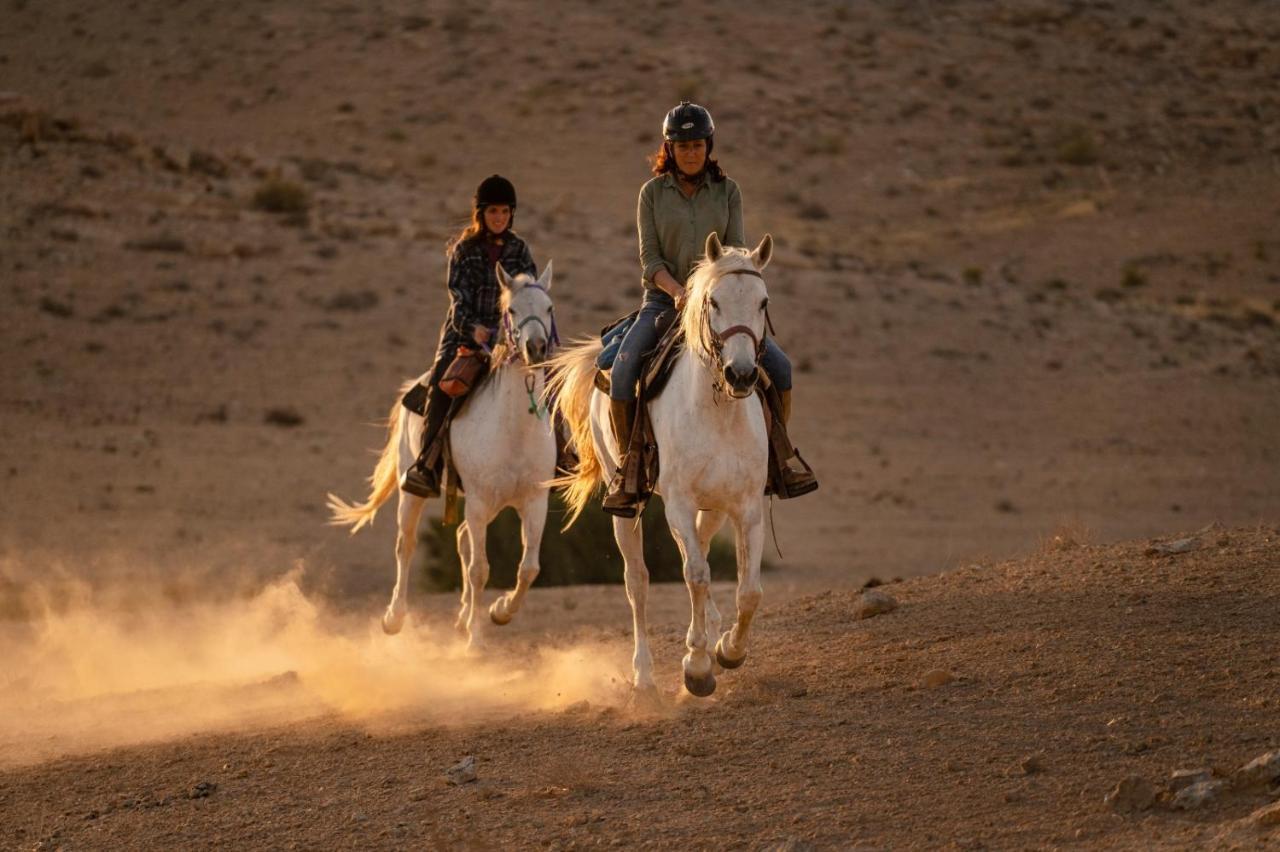 Alpaca Farm - חוות האלפקות Villa Mitzpe Ramon Luaran gambar