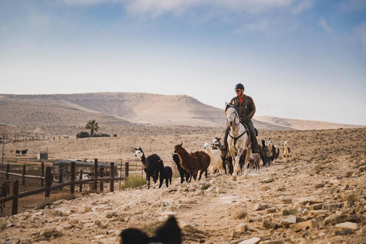 Alpaca Farm - חוות האלפקות Villa Mitzpe Ramon Luaran gambar