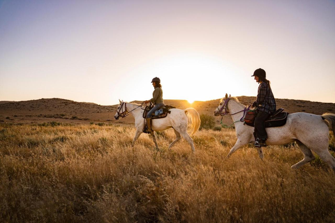 Alpaca Farm - חוות האלפקות Villa Mitzpe Ramon Luaran gambar