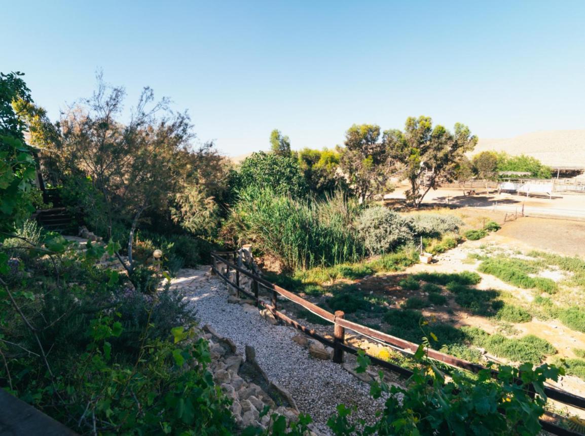 Alpaca Farm - חוות האלפקות Villa Mitzpe Ramon Luaran gambar