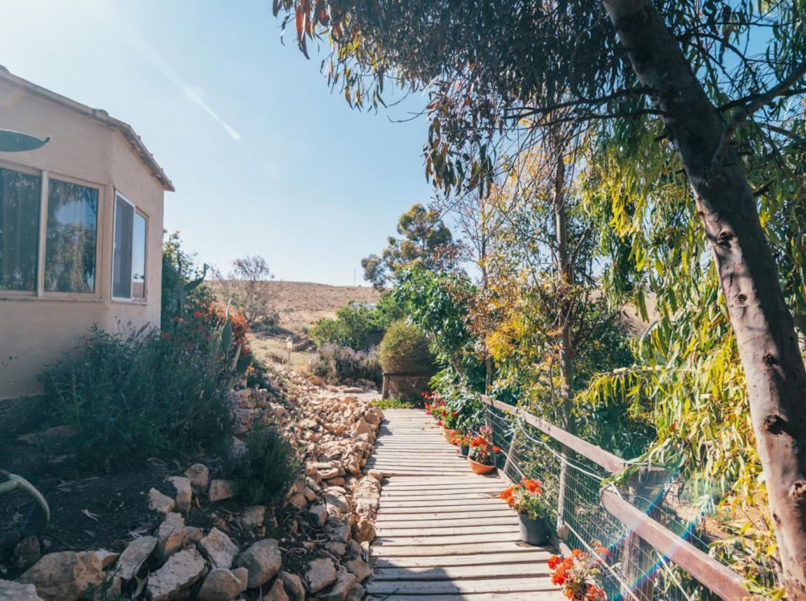 Alpaca Farm - חוות האלפקות Villa Mitzpe Ramon Luaran gambar