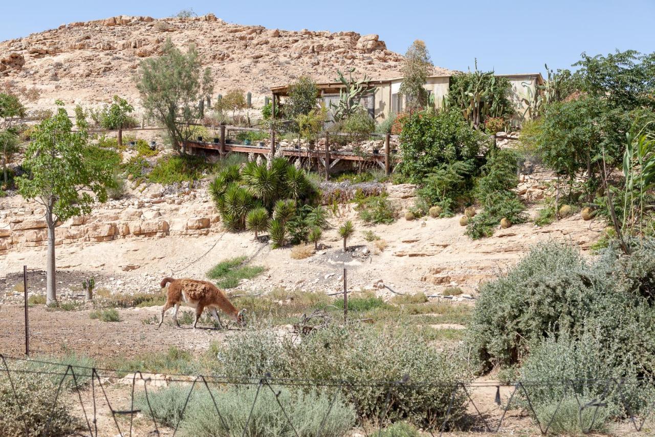 Alpaca Farm - חוות האלפקות Villa Mitzpe Ramon Luaran gambar
