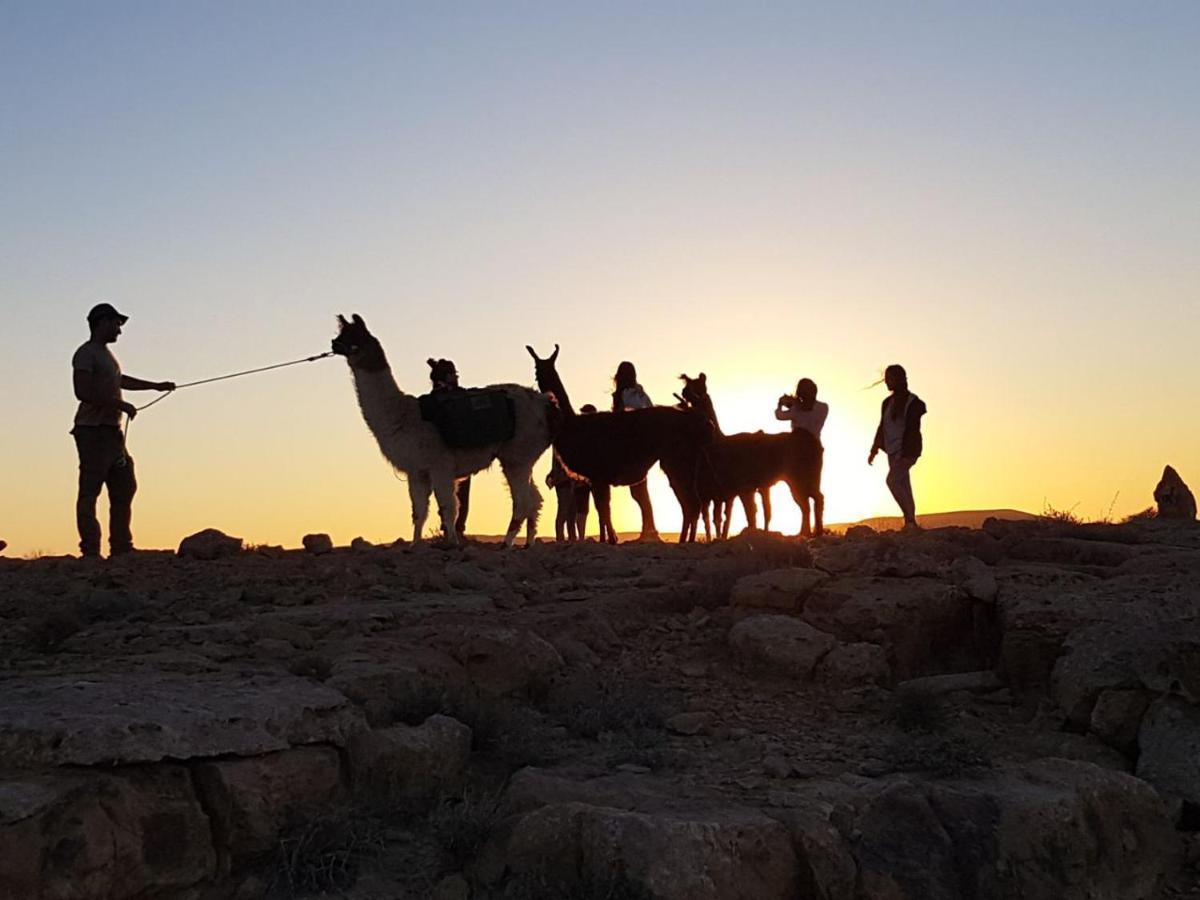 Alpaca Farm - חוות האלפקות Villa Mitzpe Ramon Luaran gambar
