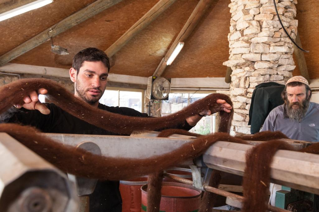 Alpaca Farm - חוות האלפקות Villa Mitzpe Ramon Luaran gambar