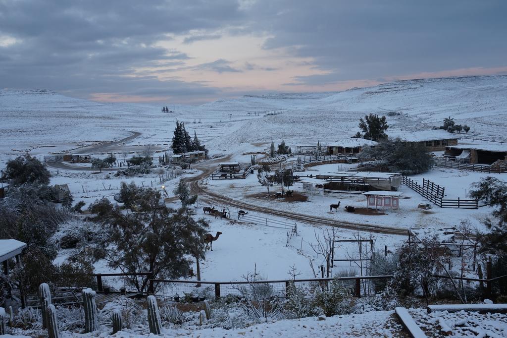 Alpaca Farm - חוות האלפקות Villa Mitzpe Ramon Luaran gambar