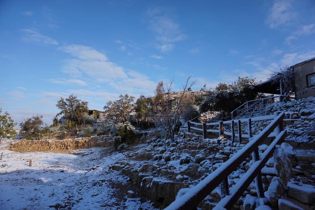 Alpaca Farm - חוות האלפקות Villa Mitzpe Ramon Luaran gambar