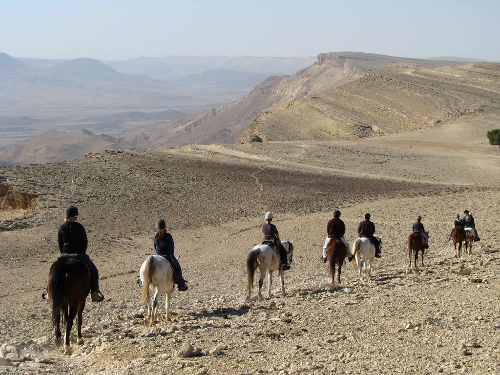 Alpaca Farm - חוות האלפקות Villa Mitzpe Ramon Luaran gambar