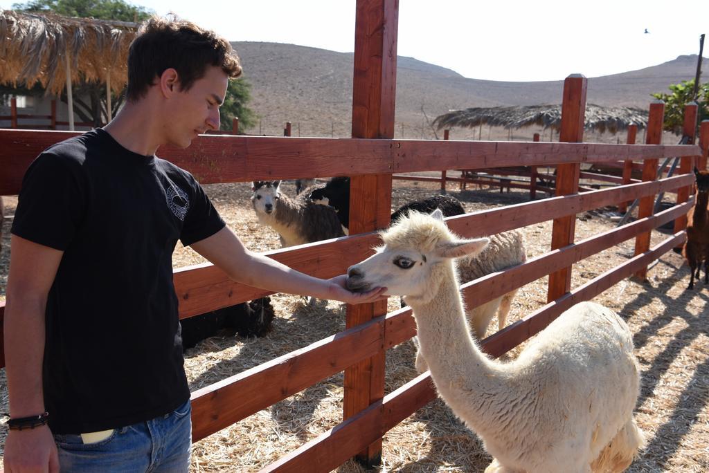 Alpaca Farm - חוות האלפקות Villa Mitzpe Ramon Luaran gambar