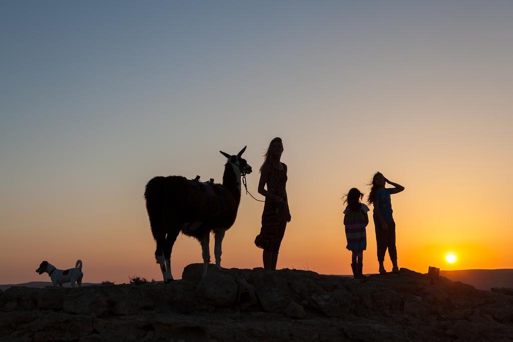 Alpaca Farm - חוות האלפקות Villa Mitzpe Ramon Luaran gambar