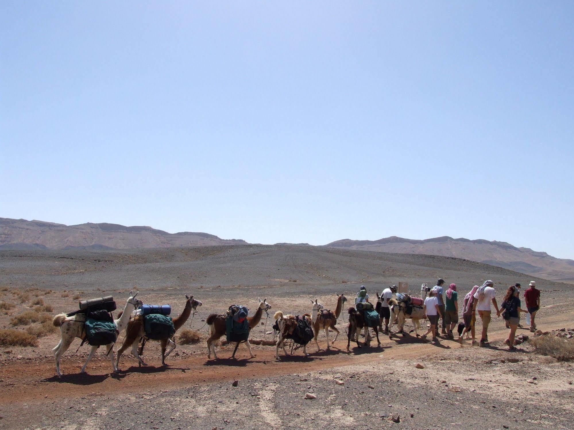Alpaca Farm - חוות האלפקות Villa Mitzpe Ramon Luaran gambar