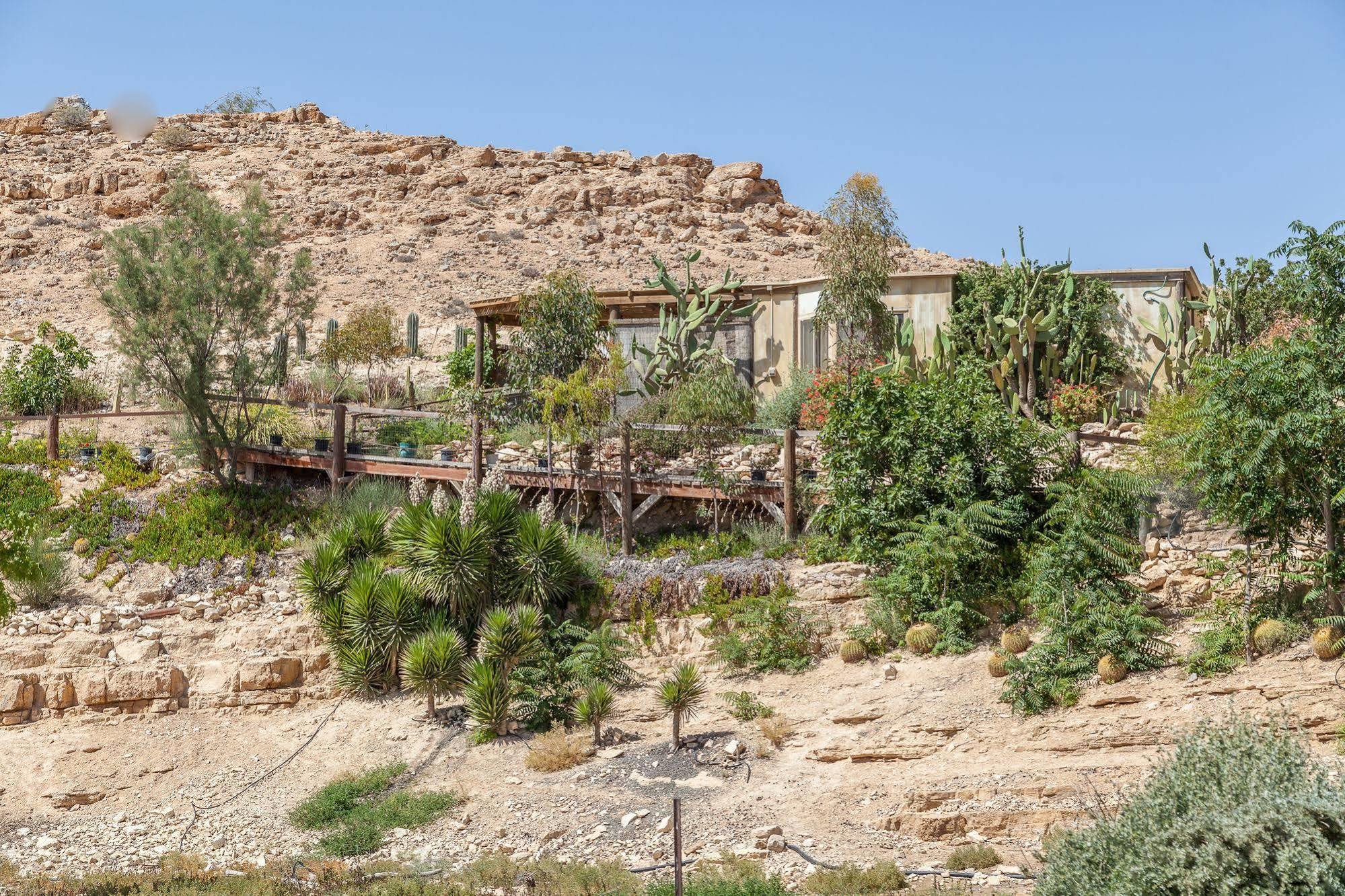 Alpaca Farm - חוות האלפקות Villa Mitzpe Ramon Luaran gambar